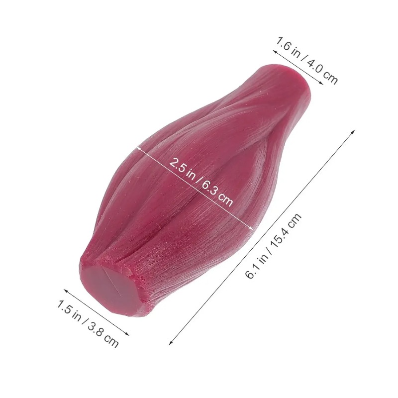 Modelo de 1 libra de músculo y - Nutrition Of Fitness reseña y precio